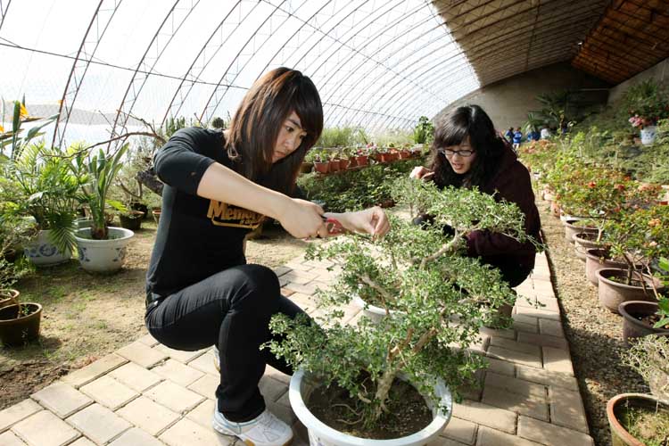 图文:篮球宝贝在大棚里面种植植物