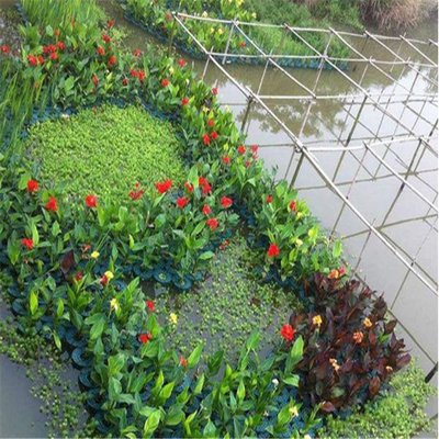 生态浮岛 水生植物种植浮床 水质净化人工 绿化浮盆景观