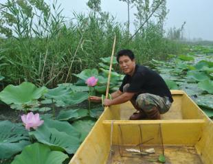 水生植物价格|绿荷水生植物种植基地_农副产品_世界工厂网