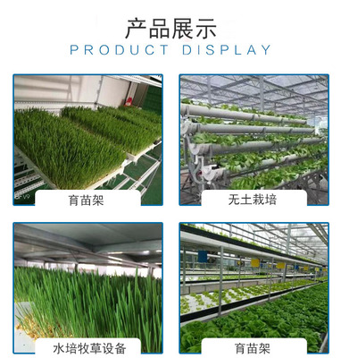 畜牧牧草种植设备 青泓农业 牧草种植